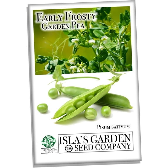 Early Frosty Garden Pea Seeds (Pisum sativum) – 50+ Heirloom Non-GMO Seeds by Isla’s Garden Seeds, 90% Germination Rate, Ideal for Planting, Cold-Tolerant and Early Harvest Variety