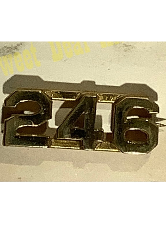 Early/Mid 1900s Brass C-Clasp Number "246" Collar Device 3/8"H Hat / Lapel Pin