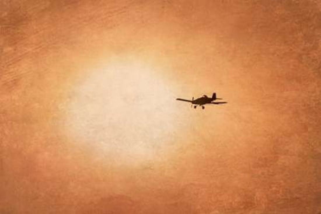 Early Morning Flight Canvas Art - Ramona Murdock (12 x 18)