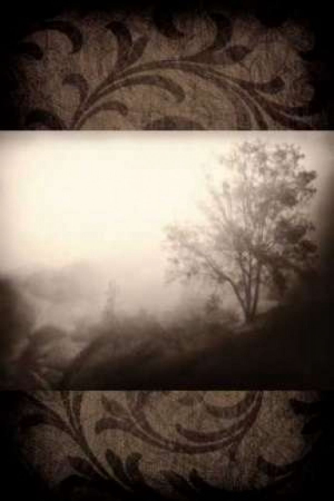 Early Morning Fog Canvas Art - Janel Pahl (24 x 36)