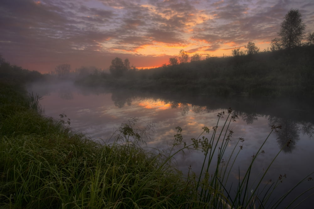 Early Morning On A Fog Covered Sturgeon River During The Summer In Central Alberta Canvas Art - Dan Jurak Design Pics (34 x 22)