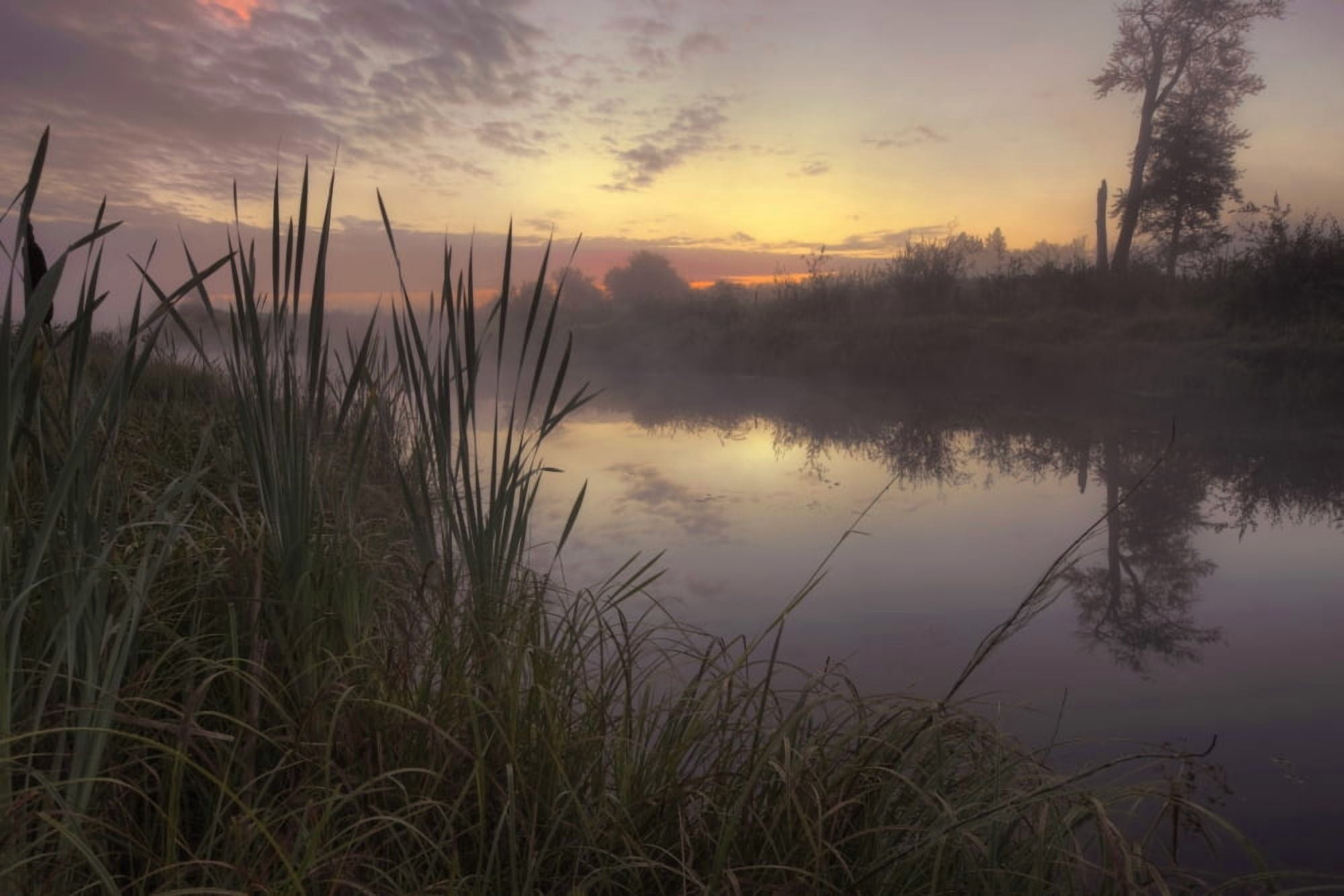 Early Morning On A Fog Covered Sturgeon River In Central Alberta Canvas Art - Dan Jurak Design Pics (17 x 11)