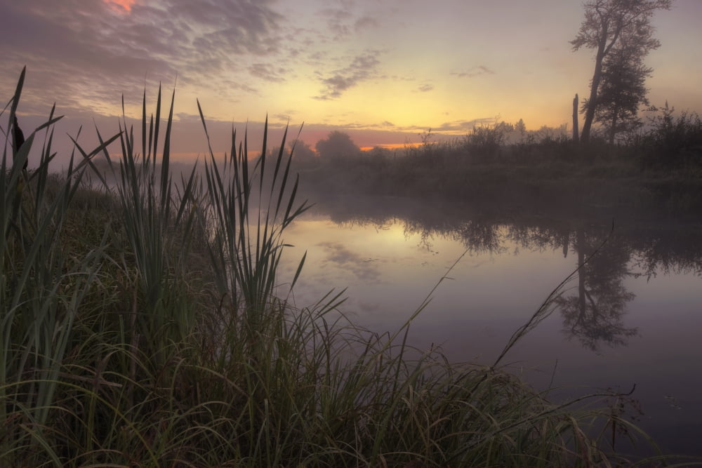 Early Morning On A Fog Covered Sturgeon River In Central Alberta Canvas Art - Dan Jurak Design Pics (34 x 22)