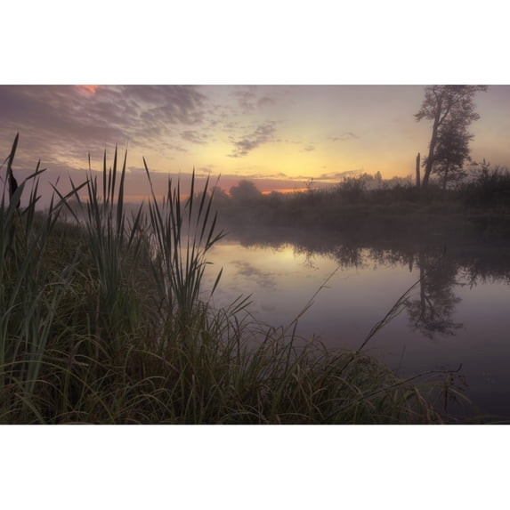 Early Morning On A Fog Covered Sturgeon River In Central Alberta Poster Print (34 x 22)