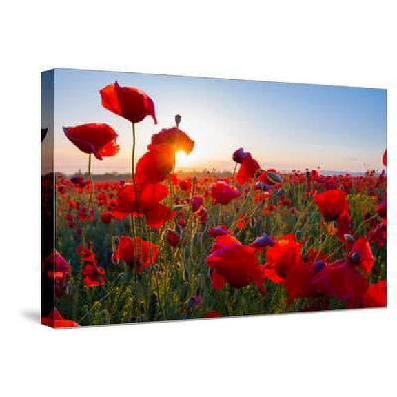 Early Morning Red Poppy Field Scene, Botanical Stretched Canvas Wall Art by Yuriy Kulik Sold by Art.Com