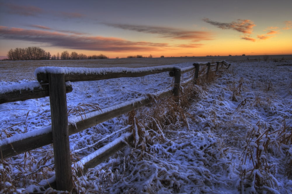 Early Morning Snow On A Cattle Fence Rural Alberta Canvas Art - Dan Jurak Design Pics (17 x 11)
