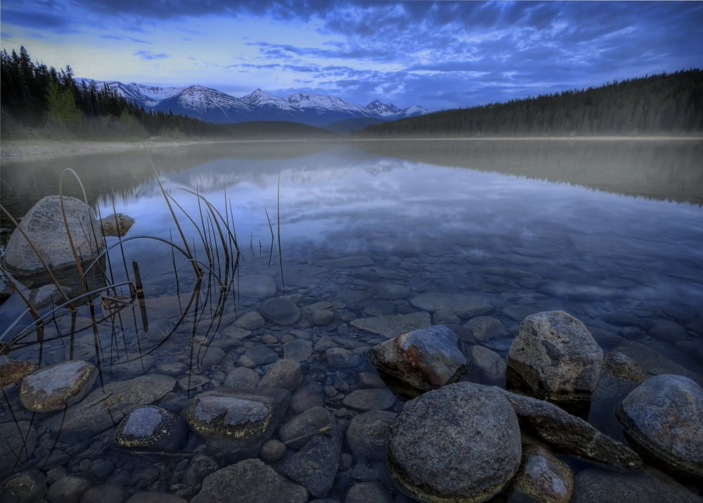 Early Summer Morning On Patricia Lake Jasper National Park Alberta Canvas Art - Dan Jurak Design Pics (32 x 22)