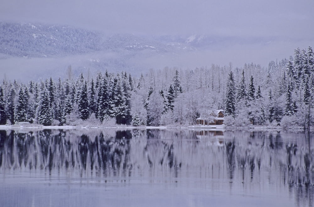 Early Winter Snow Greys The Trees Reflection In Lake Alta Lake Whistler BC Canvas Art - Leanna Rathkelly Design Pics (17 x 11)