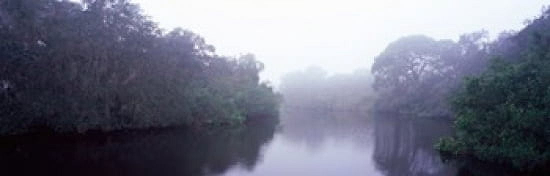 Early morning fog on a creek South Creek Oscar Scherer State Park Osprey Sarasota County Florida USA Canvas Art - Panoramic Images (18 x 6)