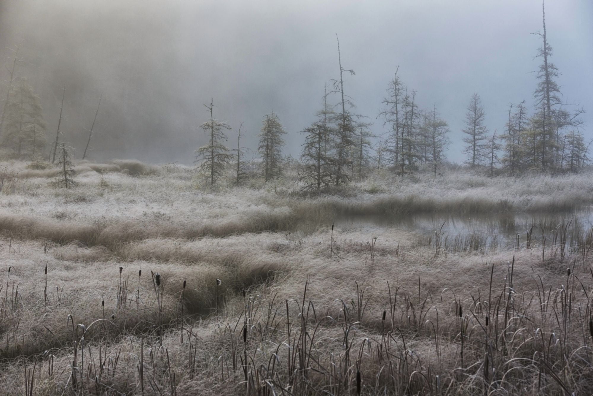 Early morning mist over a small pond along the Rock Lake Road Algonquin Park Ontario Canada Canvas Art - Robert Postma Design Pics (38 x 24)