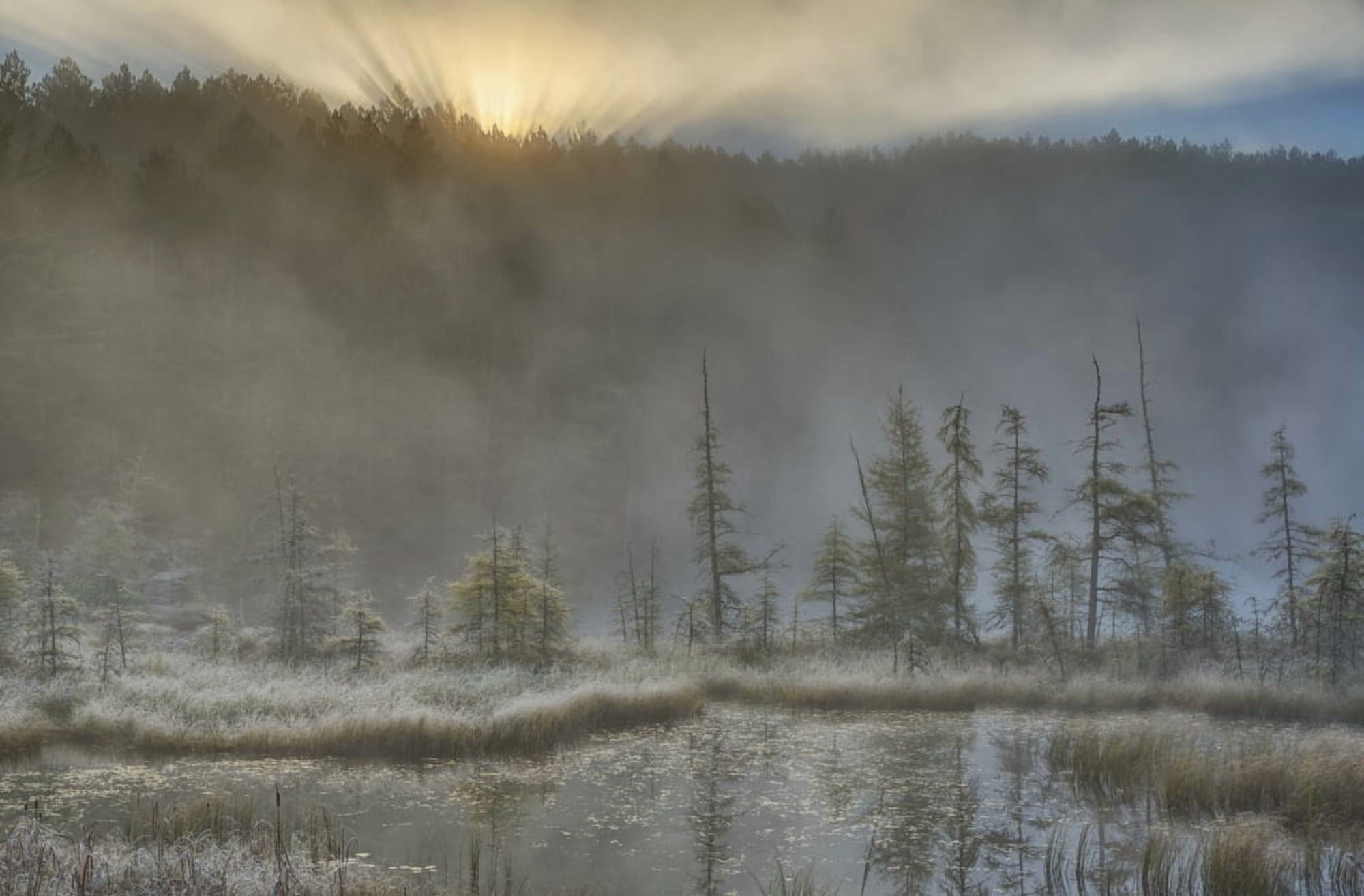 Early morning mist over a small pond along the Rock Lake Road as sun shines through the fog Algonquin Park Ontario Canada Canvas Art - Robert Postma Design Pics (38 x 24)