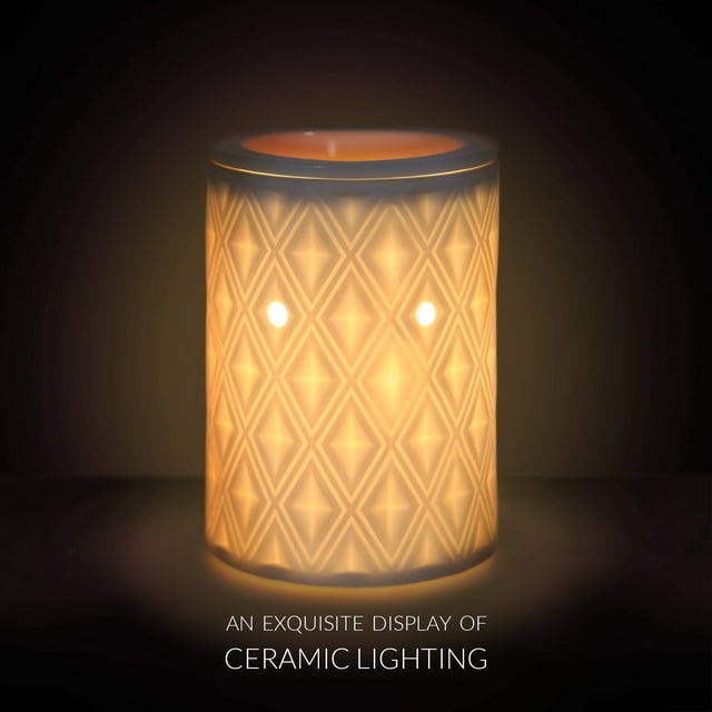 Earnest Living Electric Ceramic Wax Melt Warmer, Scented Wax Cubes