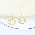 Earring Women Set Acrylic Earrings Womens Stud Earrings Pearl Hoops