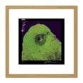 thumbnail image 1 of Earth Art USGS Mount Taranaki 8X8 Inch Square Wooden Framed Wall Art Print Picture with Mount, 1 of 4