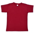 thumbnail image 1 of Earth Elements Little Kids/Toddlers Unisex Short Sleeve T-Shirt 8T Maroon, 1 of 1