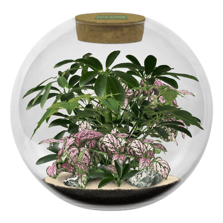 Earth Glass Biodome
