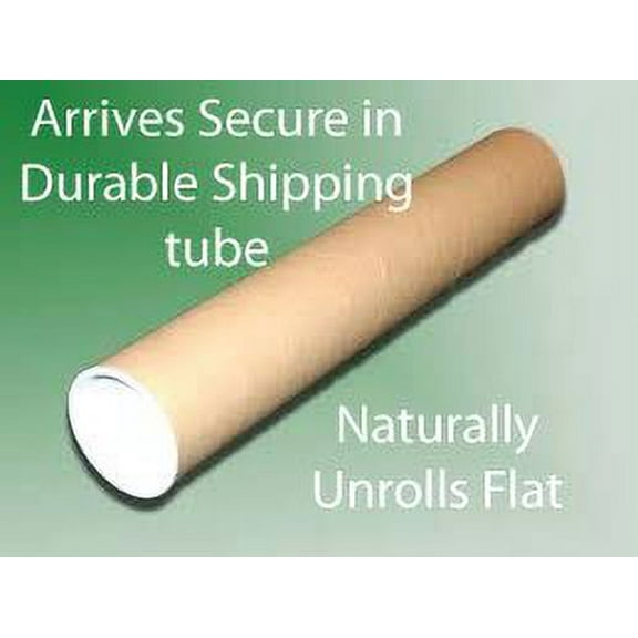 Earth Green 5-Column Sticky-Note Wall Planner Kit with 600 Sticky-Notes: 38" Tall x 24" Wide