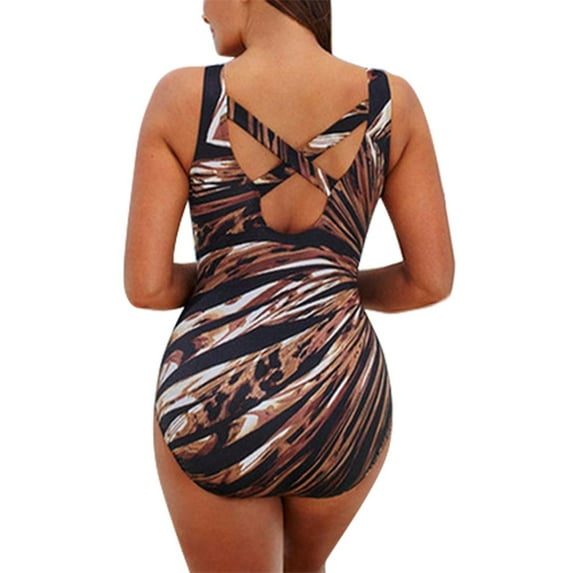 Earth Scenes and Space Life : Poems With Illustrations (Hardcover)