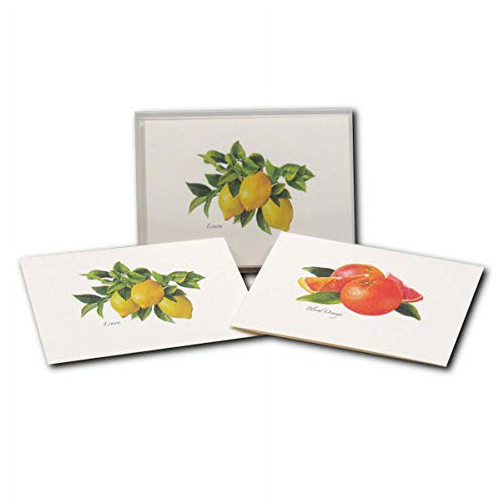 Earth Sky + Water Caterpillar Notecard Set | 8 Blank Cards With Envelopes & Gift Box