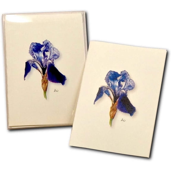 Earth Sky + Water - Iris Notecard Set - 8 Blank Cards with Envelopes