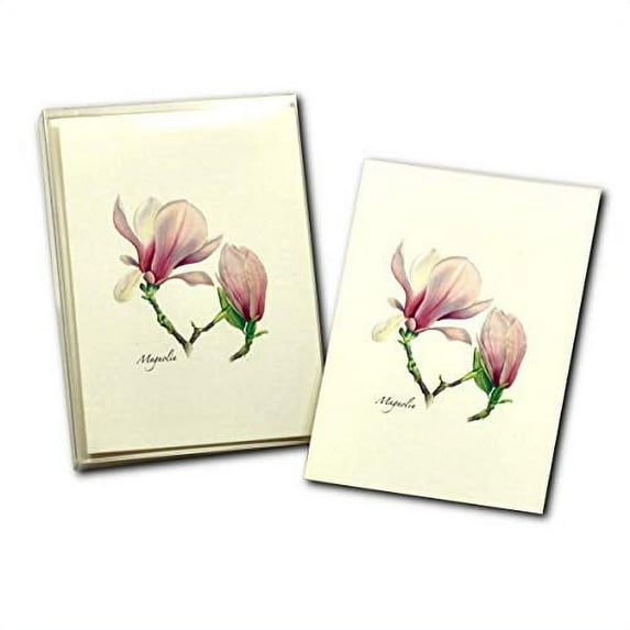 Earth Sky + Water - Magnolia Notecard Set - 8 Blank Cards with Envelopes