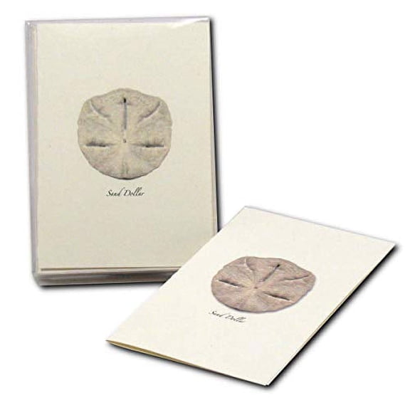 Earth Sky + Water - Sand Dollar Notecard Set - 8 Blank Cards with Envelopes