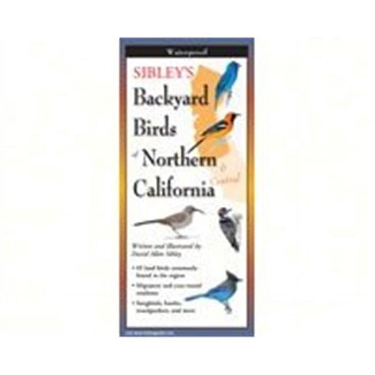 steven m. lewers earth sky water lewersbnc120 sibley's backyard birds ...