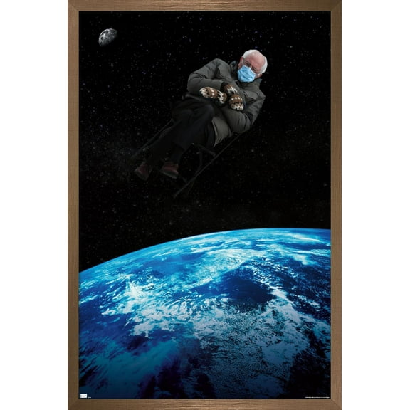 Earth To Bernie Wall Poster, 14.725" x 22.375", Framed