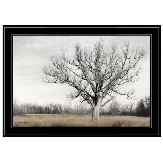 TrendyDecor4U Earth And Sky By Lori Deiter Framed Print LD1411-704G