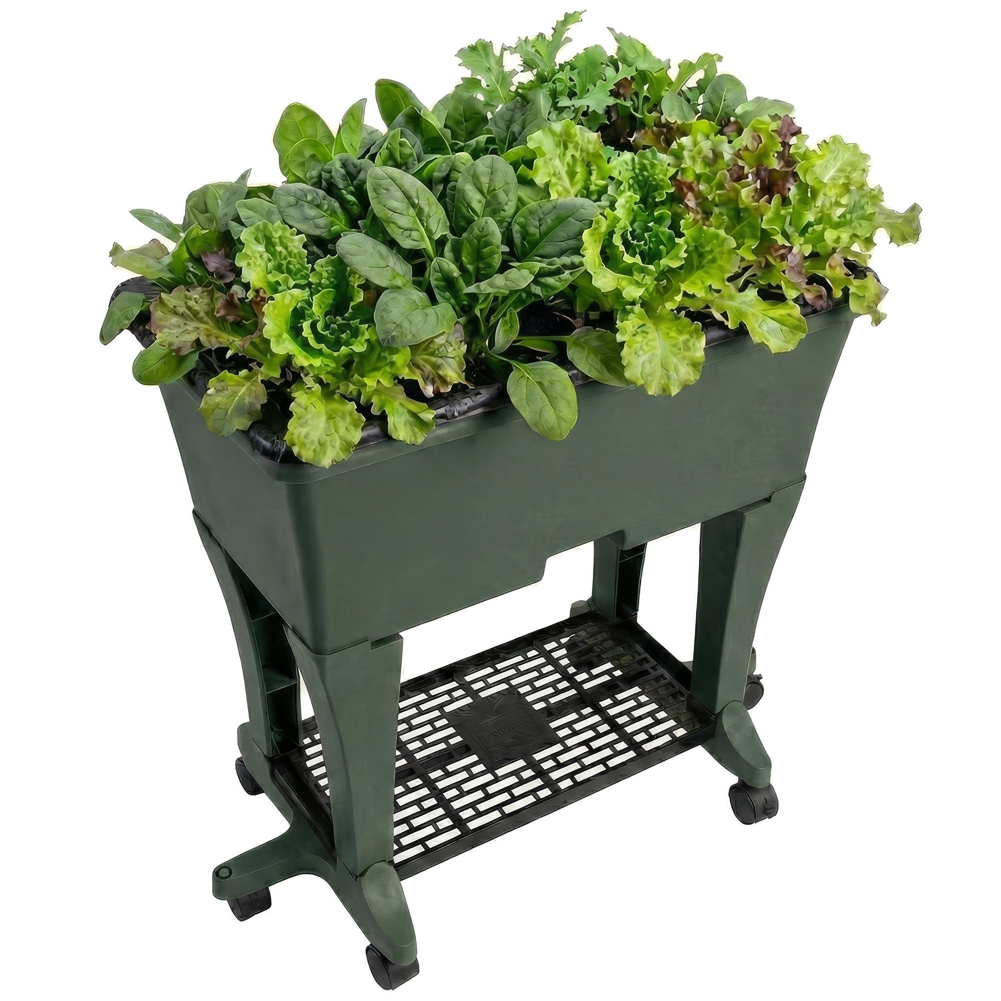 EarthBox Elevated Raised Garden Bed with Legs and Wheels, Self-Watering Planter Box with Premium Plant Food - Dark Green