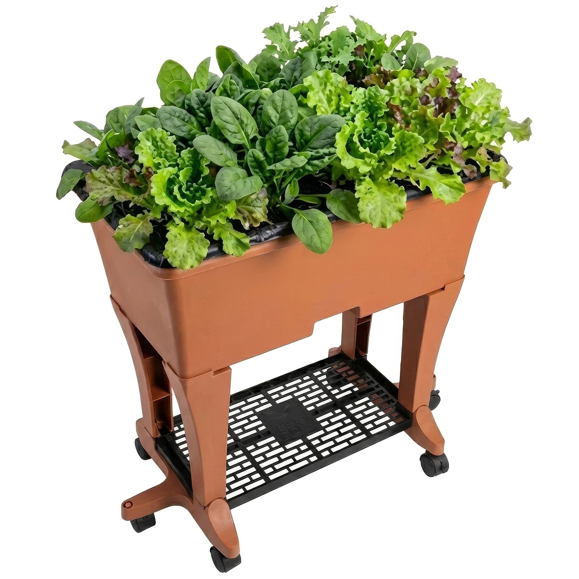 EarthBox Elevated Raised Garden Bed with Legs and Wheels, Self-Watering Planter Box with Premium Plant Food - Terra