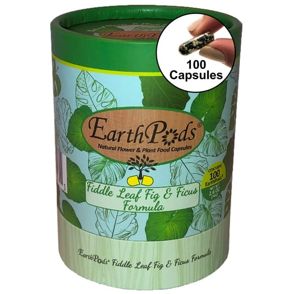 EarthPods Organic Fiddle Leaf Fig Plant Food Spikes – Pothos & Monstera Fertilizer Sticks (100 Concentrated Capsules) – Ficus Tree – Easy: Push in Soil & Water – NO Liquid, Mess or Smell – Made in USA