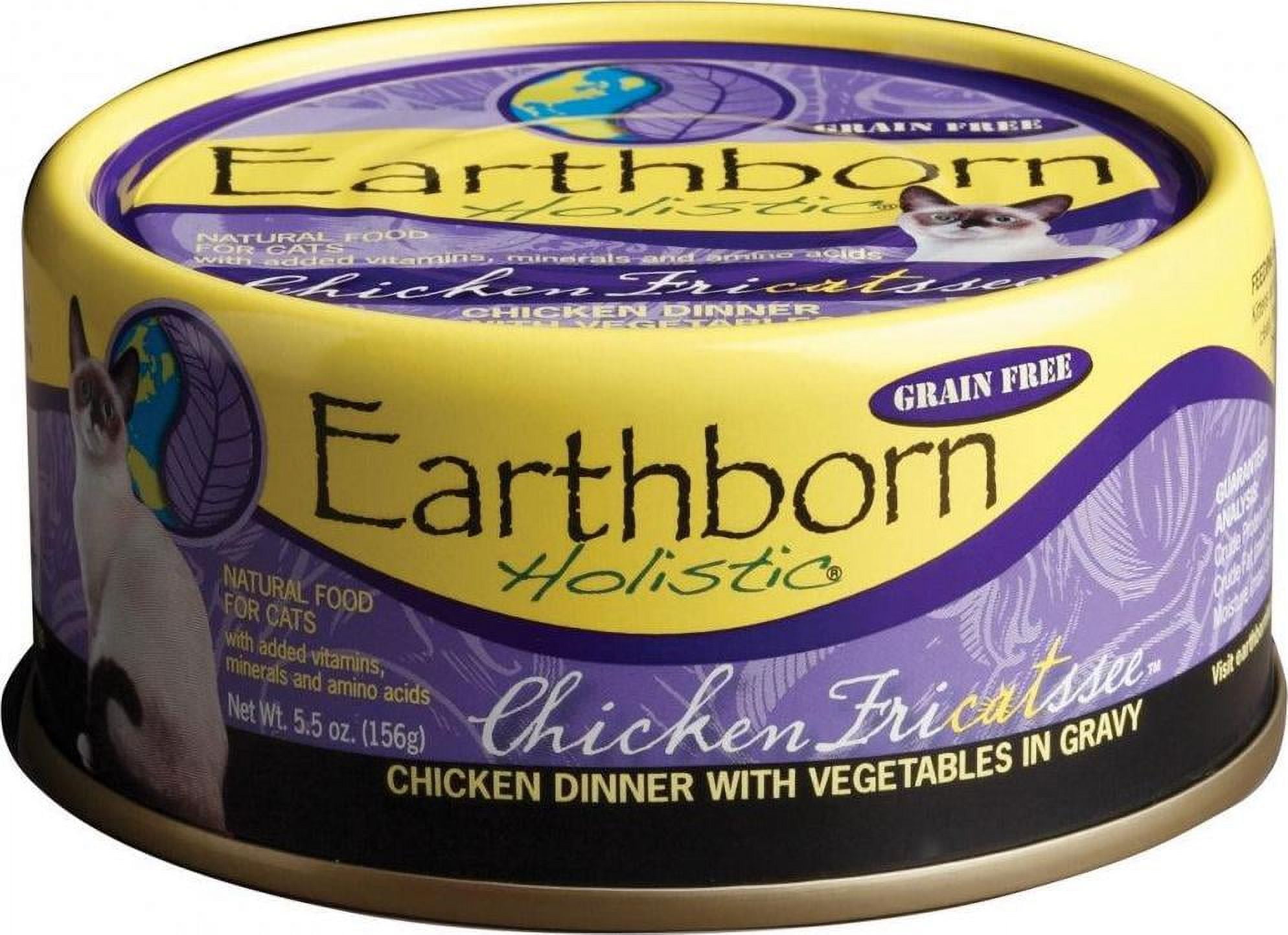 Earthborn kitten food best sale