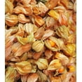 thumbnail image 1 of Earthcare Seeds - Ground Cherry Aunt Molly's 50 Seeds (Physalis Pruinosa) Heirloom - Open Pollinated, 1 of 6