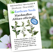 Earthcare Seeds - Marshmallow 300 Seeds Althaea officinalis Heirloom - Open Pollinated - NonGMO