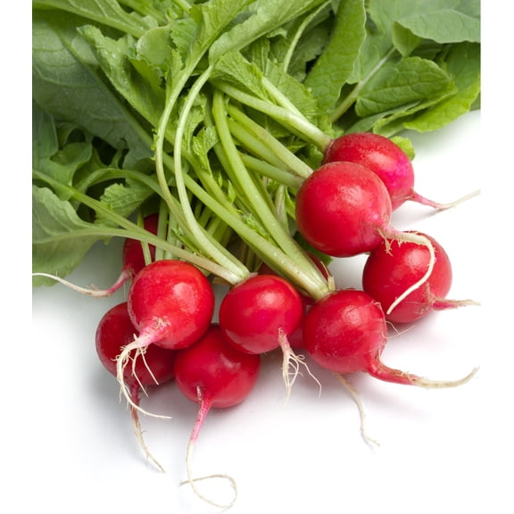 Earthcare Seeds - Radish Cherry Belle 500 Seeds (Raphanus Sativus) Heirloom - Open Pollinated