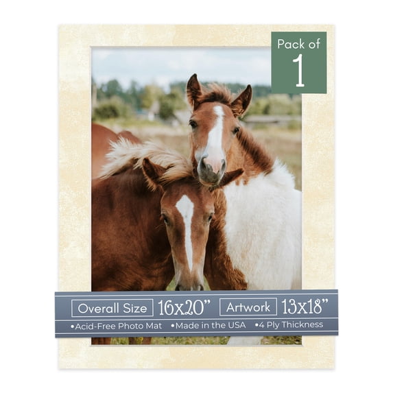 Earthen Off White Picture Frame Mat for 16x20 Frames - Fits 13x18 Photos - 1 Mat