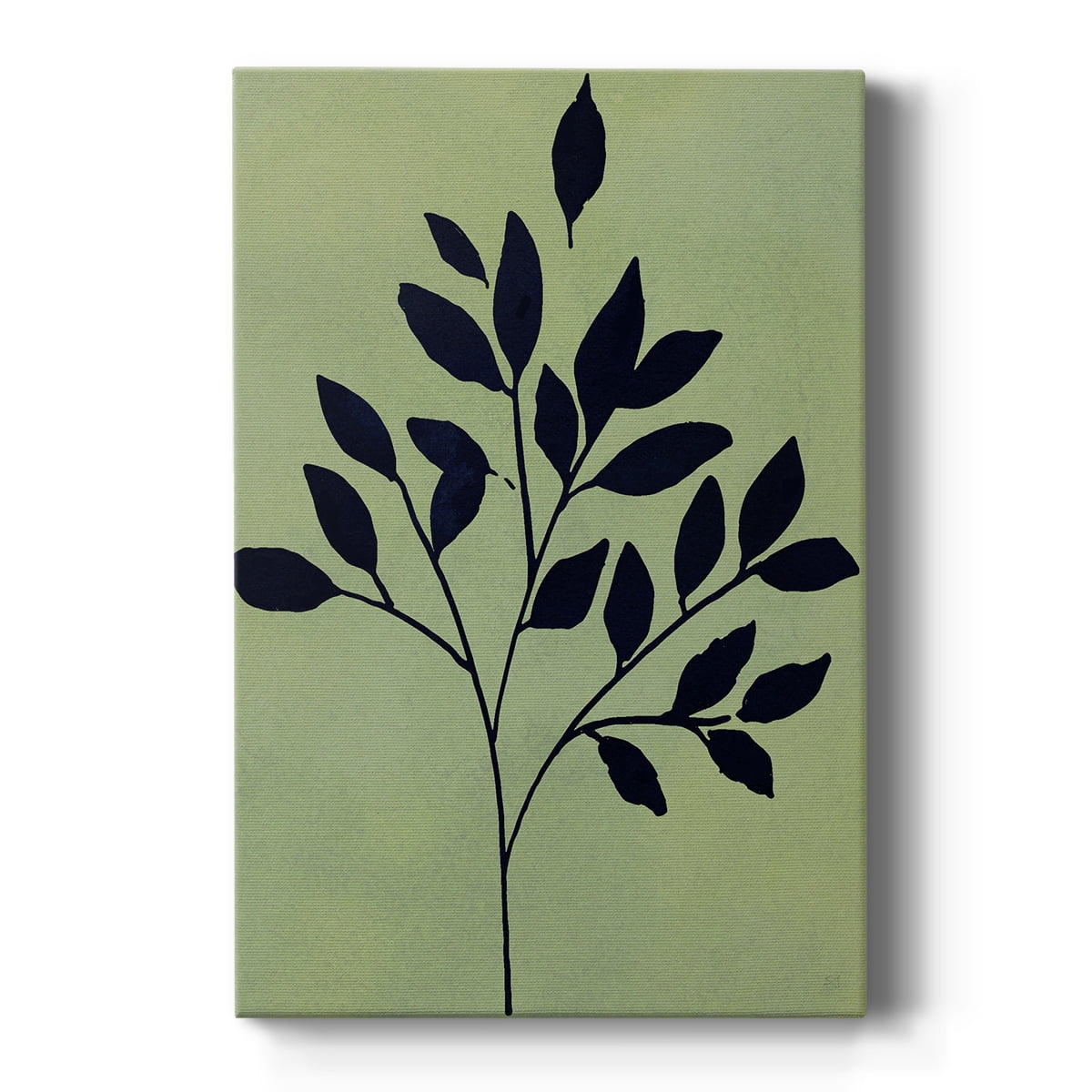 Earthly Botanical I Premium Gallery Wrapped Canvas - Ready to Hang
