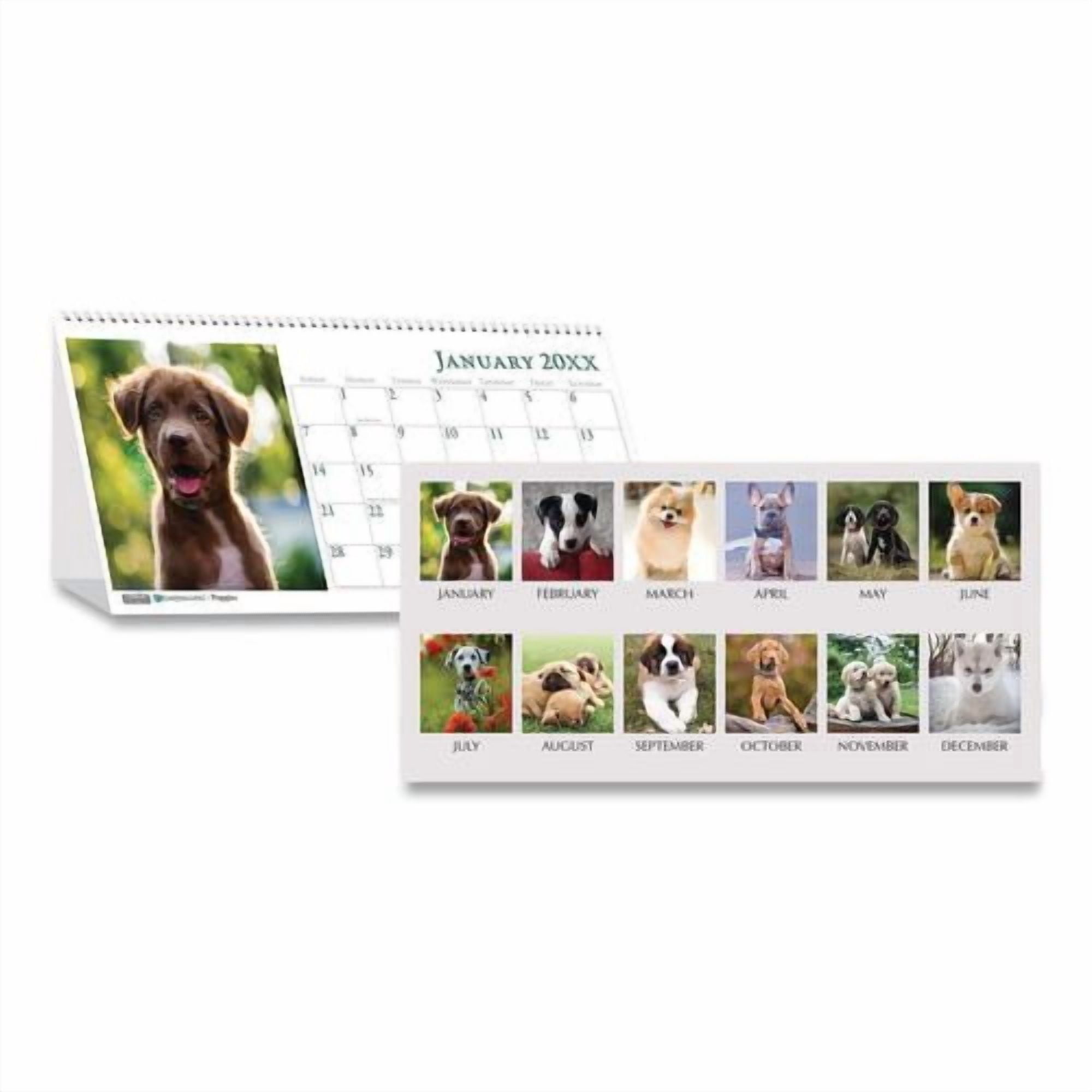 Earthscapes Recycled Desk Tent Monthly Calendar, Puppies Photography, 8.5 x 4.5, White Sheets, 12-Month (Jan to Dec): 2026 | Bundle of 10