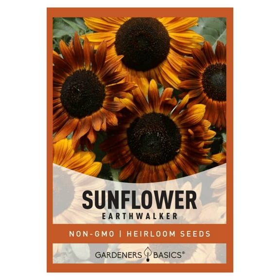 Earthwalker Sunflower Seeds