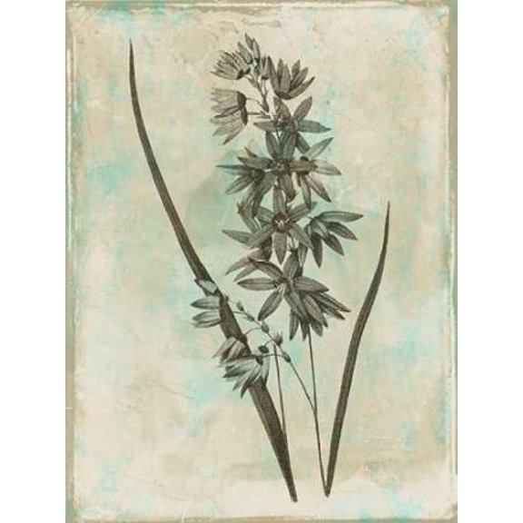 Earthy Blend Poster Print by Jace Grey (24 x 36)