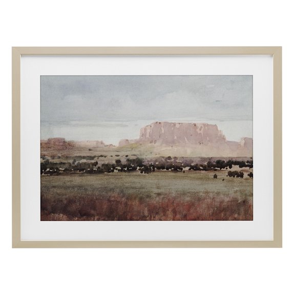 Stupell Industries Earthy Canyon Mesa Birch Framed Print Under Glass, design by Corinne Haig