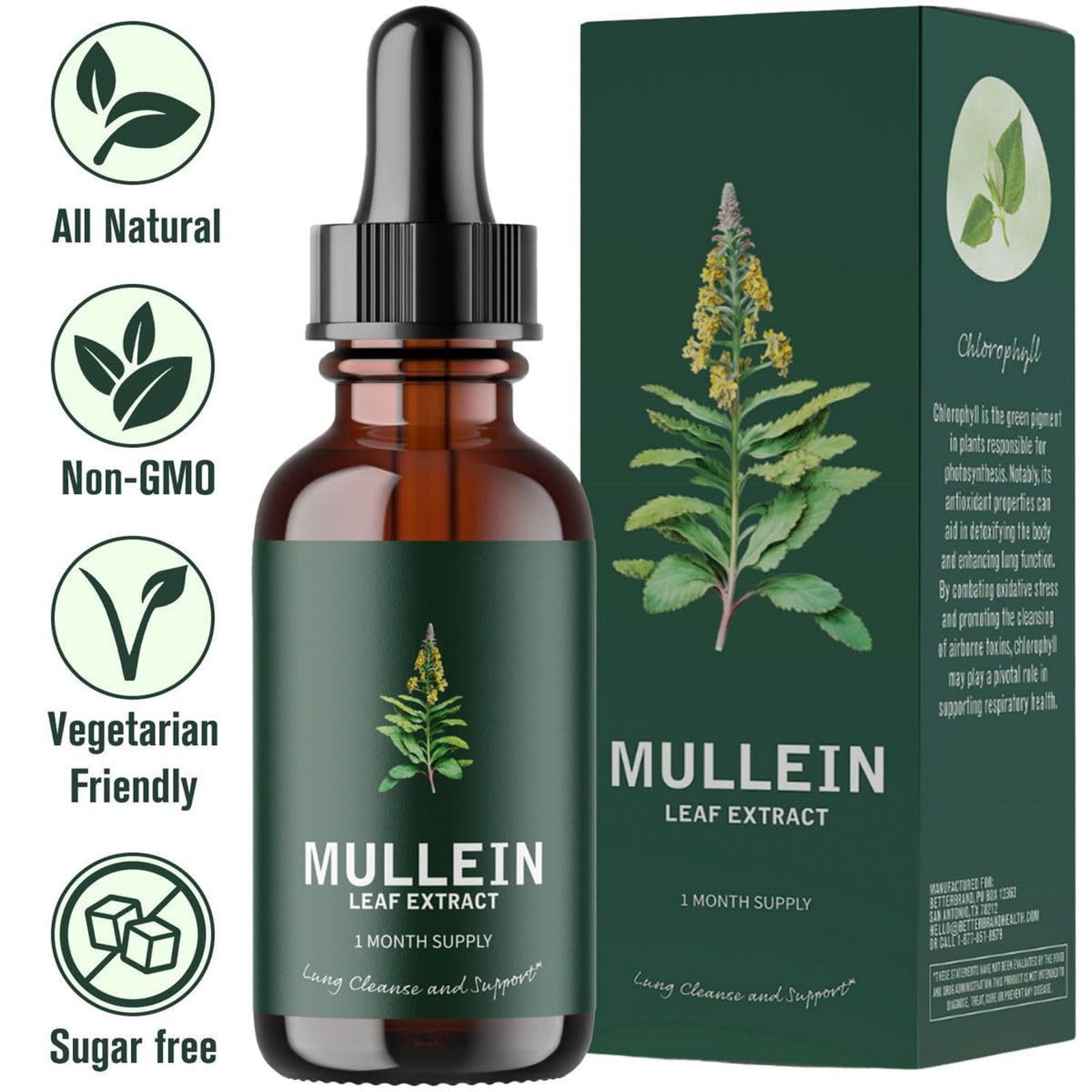 Easdesey Mullein Drops for Lungs, Mullein Leaf Extract for Lungs with Chlorophyll, Natural Herbal Supplement for Lung Cleanse, Respiratory Support, Boosts Immunity, Digestive Wellness