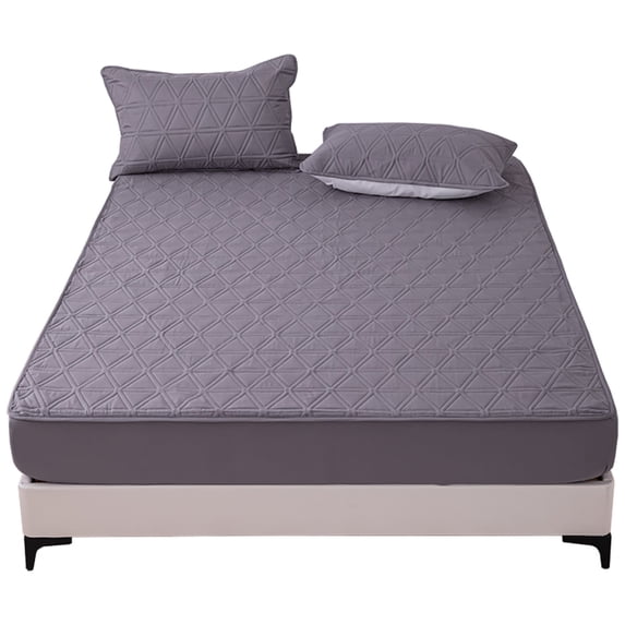 Lavish Cover Ultra Soft Waterproof Fitted Sheet, Washable Mattress Cover for Home, Hotel(King, Dark Gray)