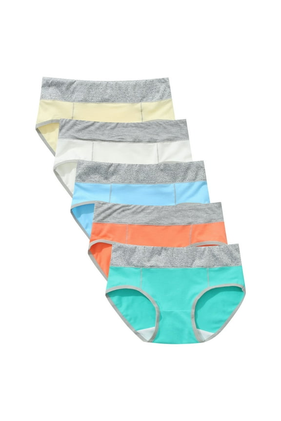 Women Panties Women's Contrast Lace Cutout Panty Bow Front Underwear Briefs Panties Multicolor 3X-Large