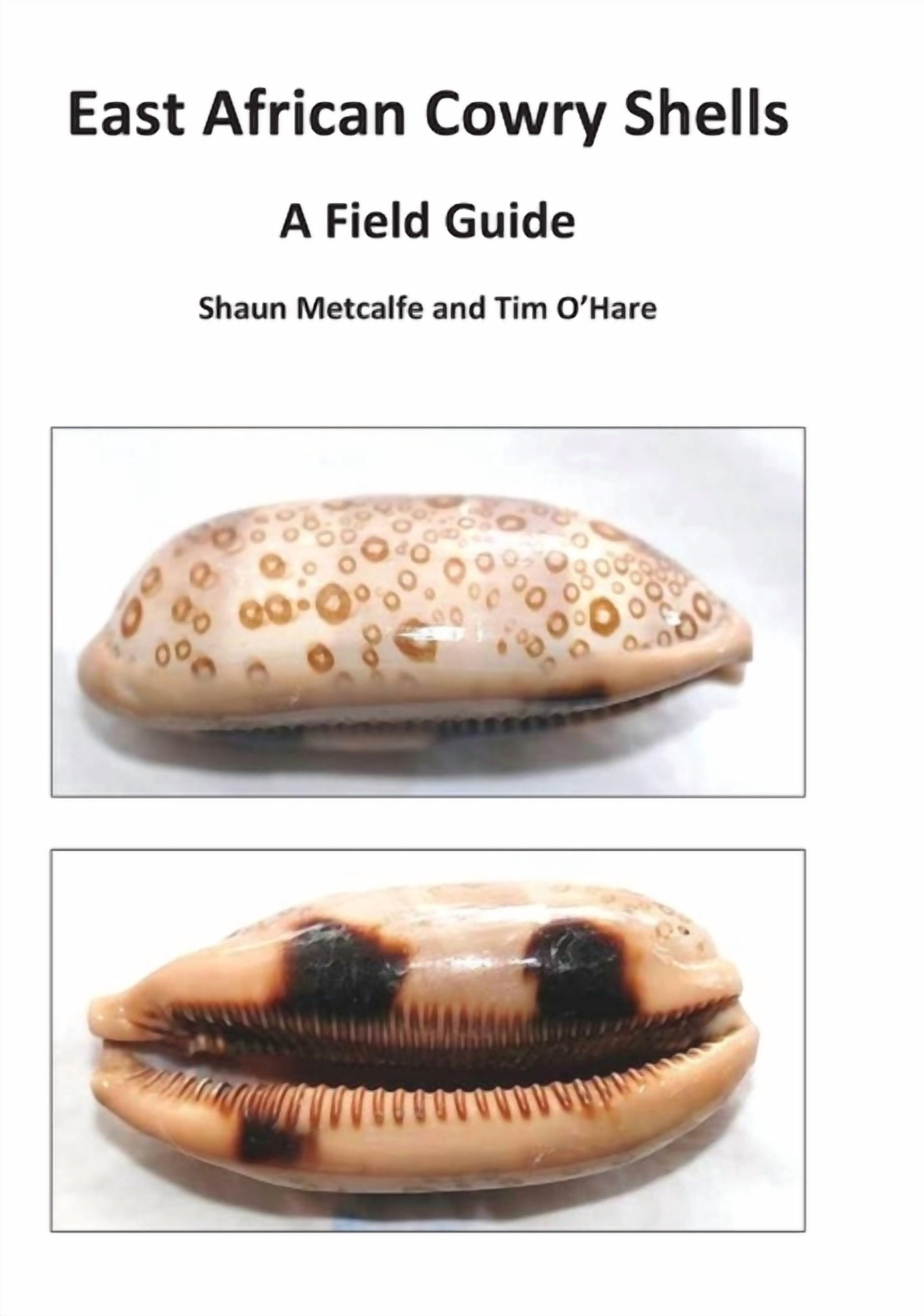 Shells Field Guide East African Cowry Shells: A Field Guide (Hardcover) - Walmart.com