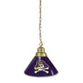 thumbnail image 1 of East Carolina University Pendant Light with Chrome FIxture, 1 of 4