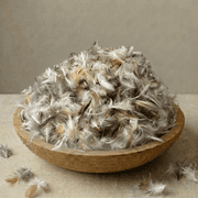 East Coast Bedding 10/90 Blend Gray Goose Down Feather Pillow Filler Stuffing, 5-lb Bulk