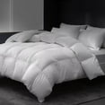 thumbnail image 1 of East Coast Bedding Cozy Dream 25% Goose Down and 75% Feather Comforter-King Size, 1 of 3
