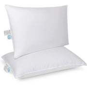 East Coast Bedding Medium Density Goose Down Pillows, King Set of 2